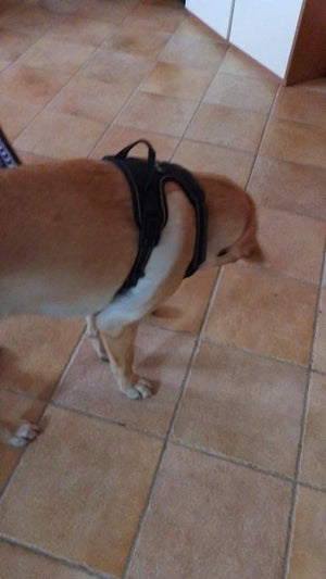 A26aaf6002db945b18828b47afdbdc3697.jpg