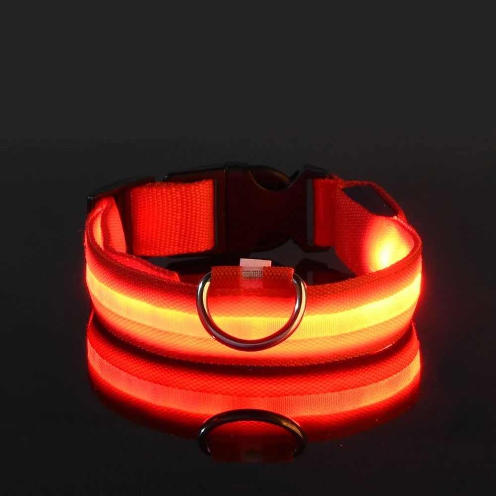 PawVoyage LED Safety Collar