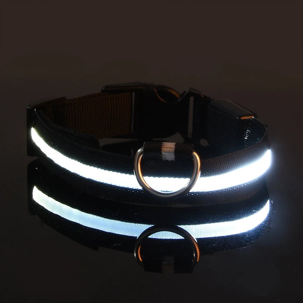 PawVoyage LED Safety Collar