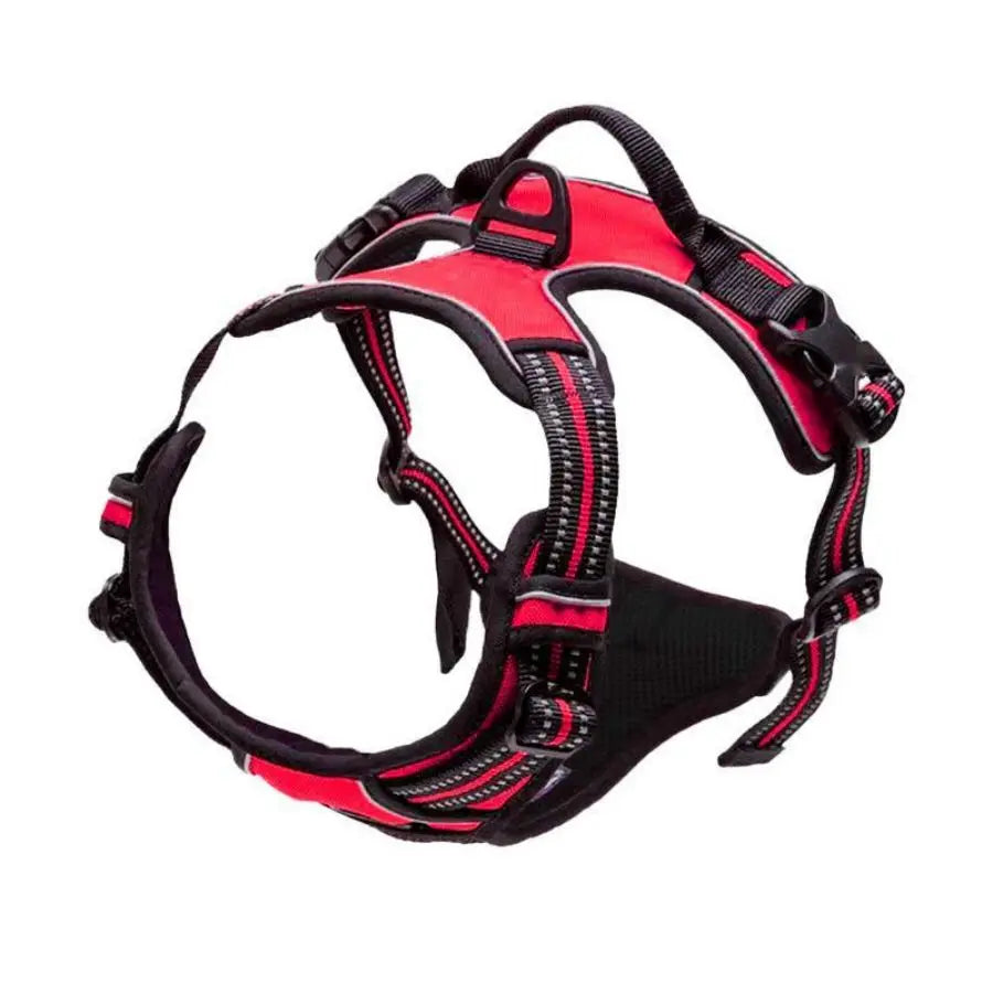 PawVoyage No-Pull Comfort Dog Harness
