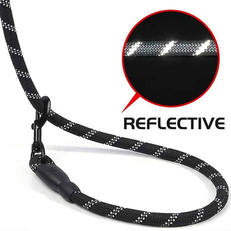 PawVoyage Reflective Dog Leash
