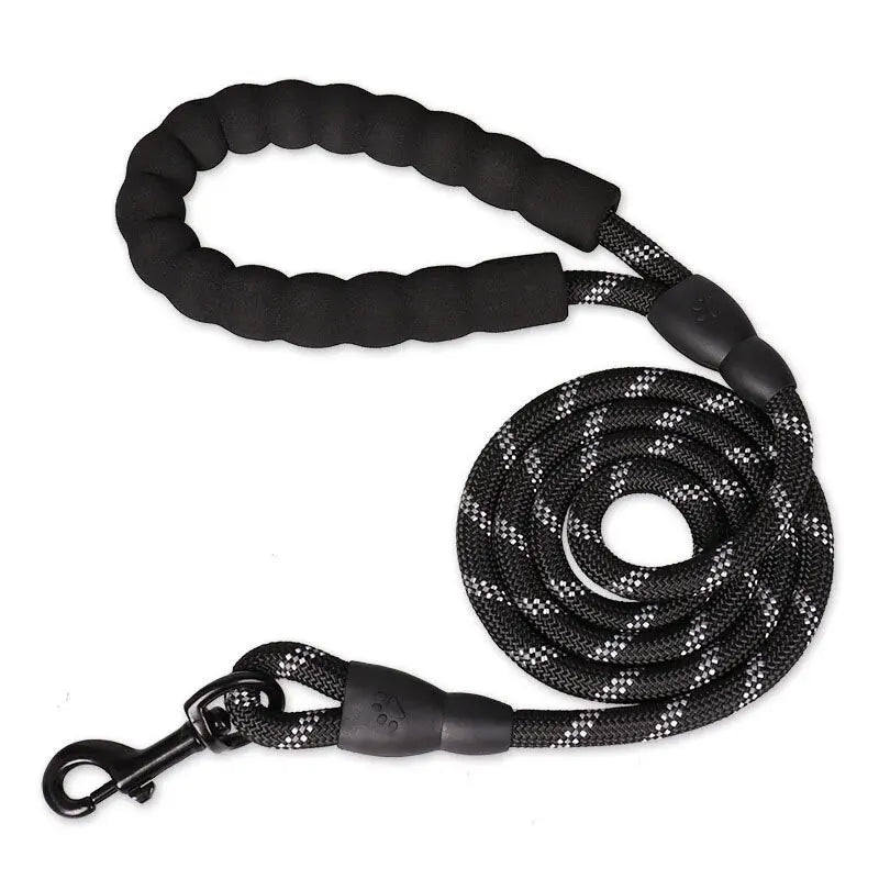 PawVoyage Reflective Dog Leash