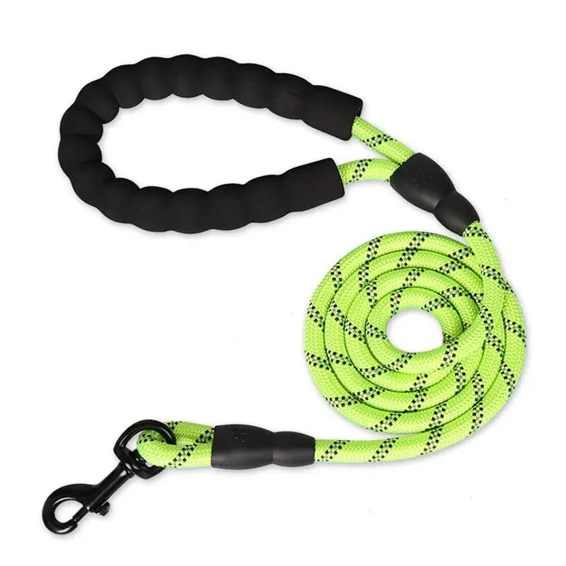 PawVoyage Reflective Dog Leash