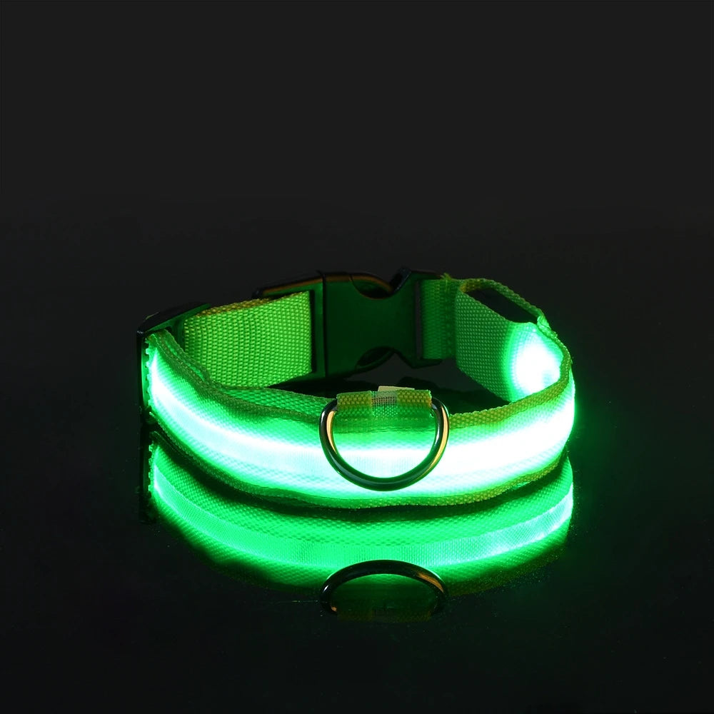 PawVoyage LED Safety Collar