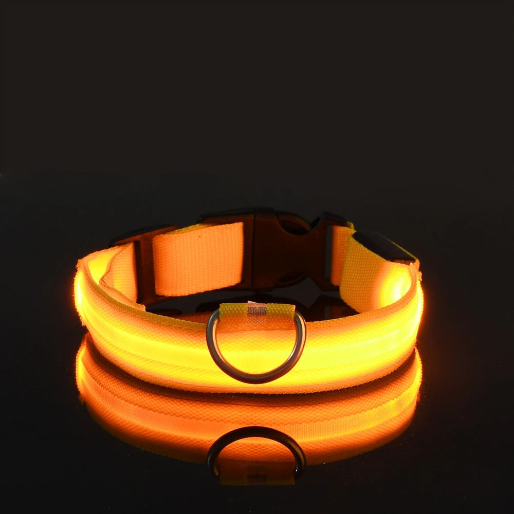 PawVoyage LED Safety Collar