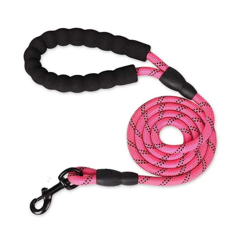 PawVoyage Reflective Dog Leash