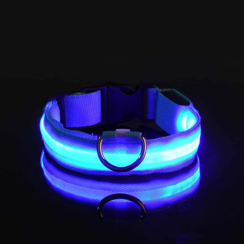 PawVoyage LED Safety Collar