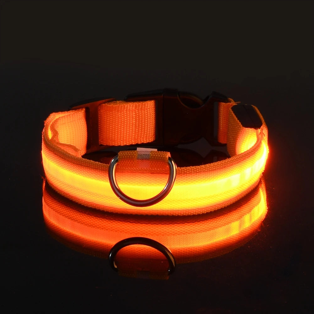 PawVoyage LED Safety Collar