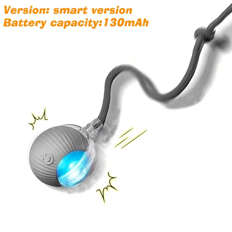 PawVoyage Interactive Dog Ball