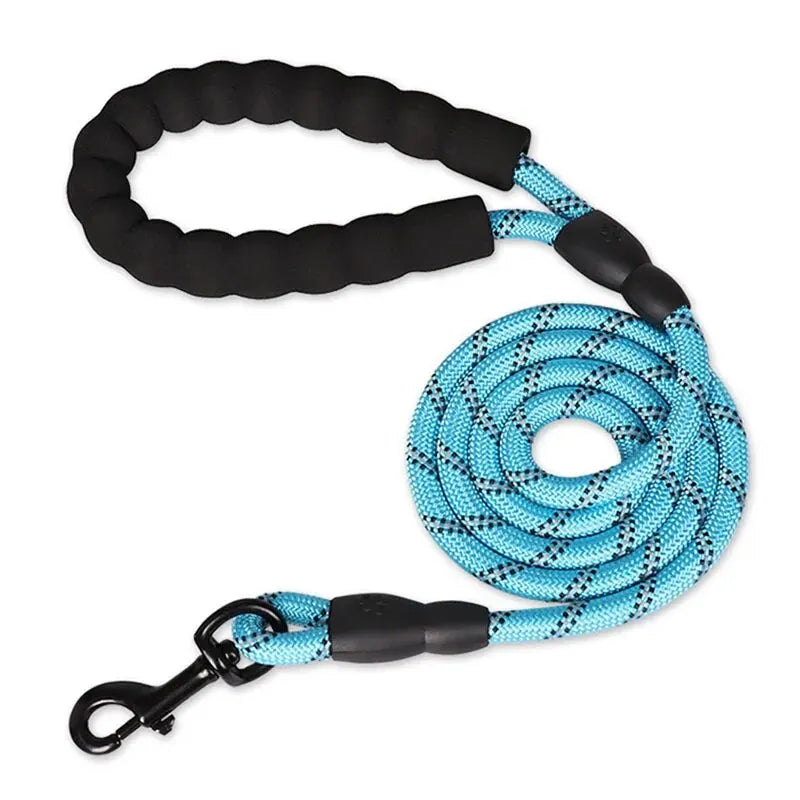 PawVoyage Reflective Dog Leash