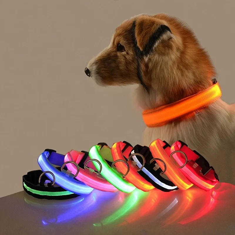 PawVoyage LED Safety Collar