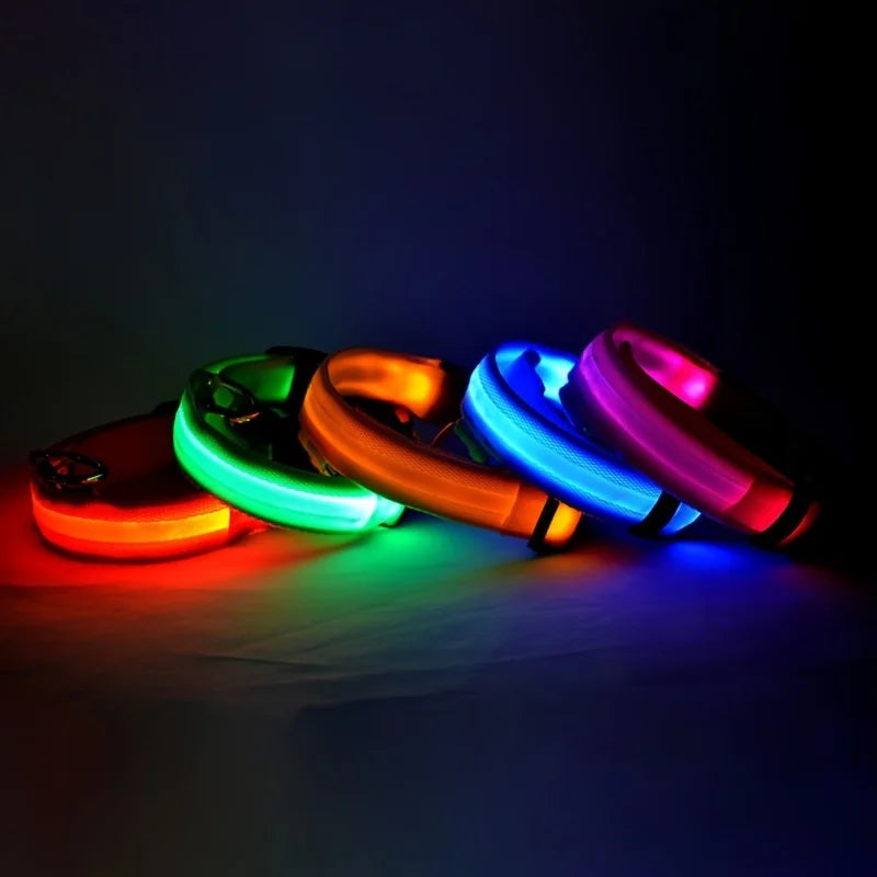 PawVoyage LED Safety Collar
