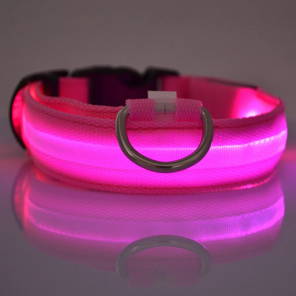 PawVoyage LED Safety Collar