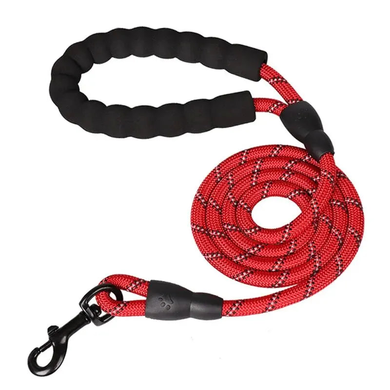 PawVoyage Reflective Dog Leash