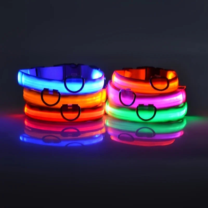 PawVoyage LED Safety Collar