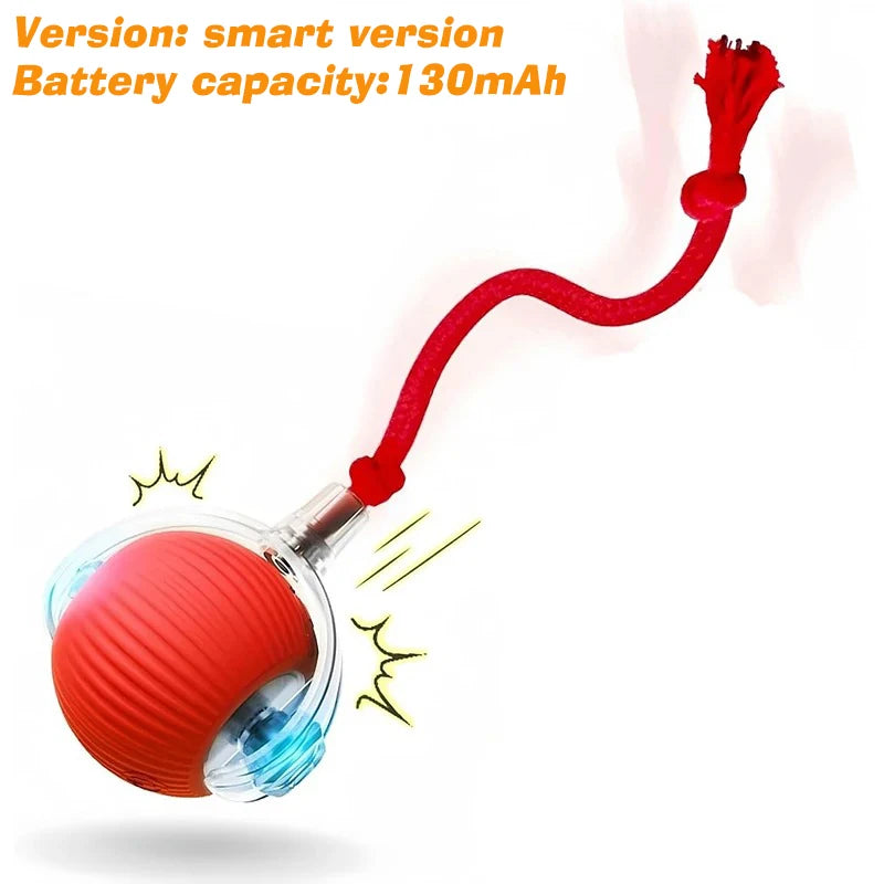 PawVoyage Interactive Dog Ball