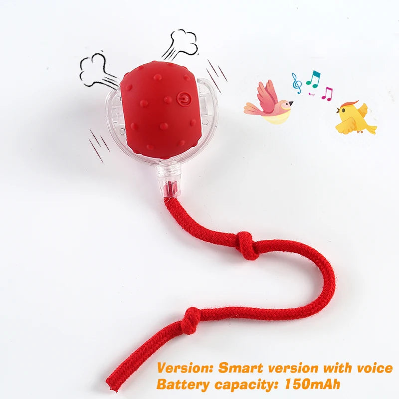 PawVoyage Interactive Dog Ball