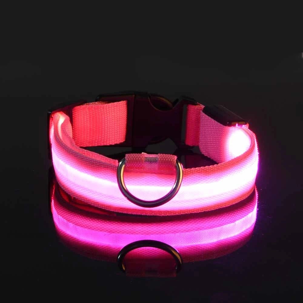 PawVoyage LED Safety Collar
