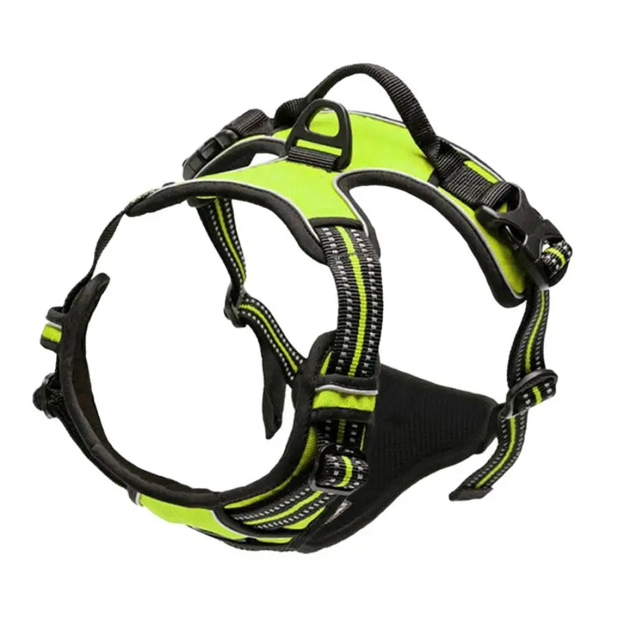 PawVoyage No-Pull Comfort Dog Harness