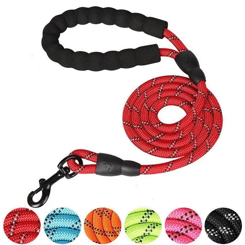 PawVoyage Reflective Dog Leash