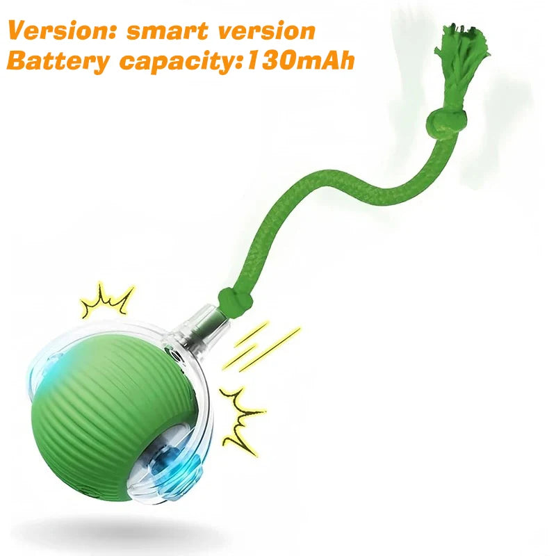 PawVoyage Interactive Dog Ball