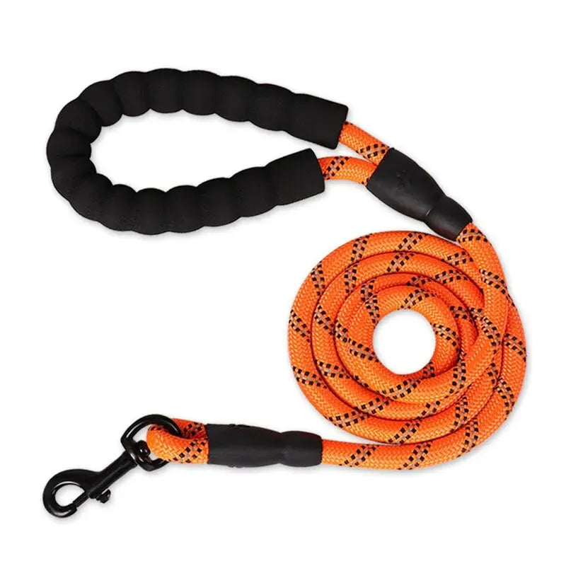 PawVoyage Reflective Dog Leash