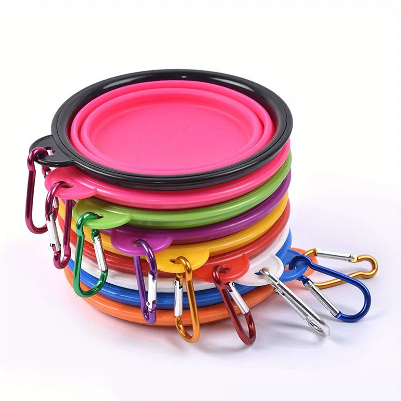 PawVoyage Adventure Bowl