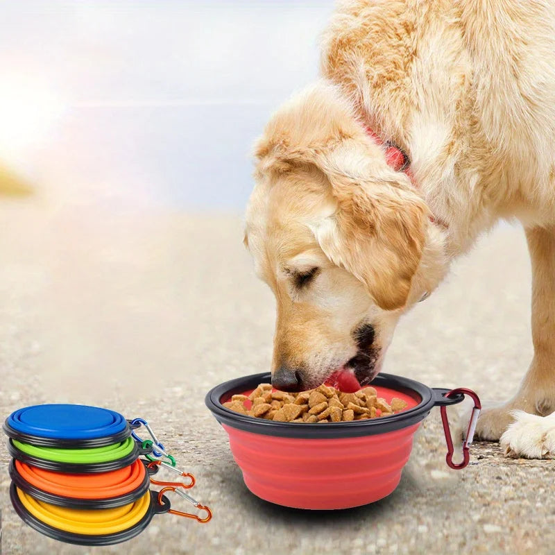 PawVoyage Adventure Bowl