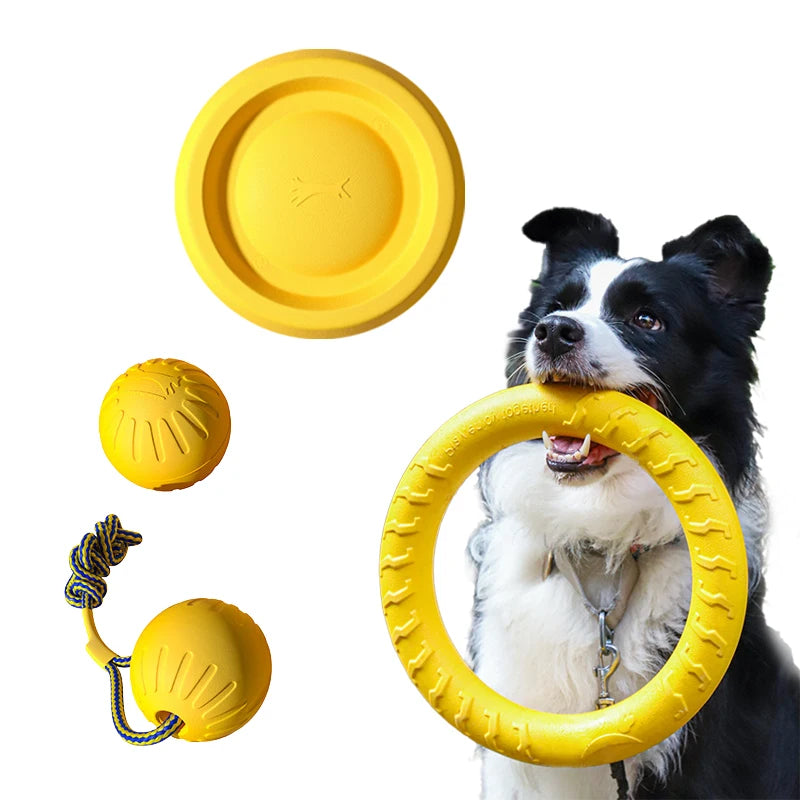 PawVoyage Adventure Play Collection